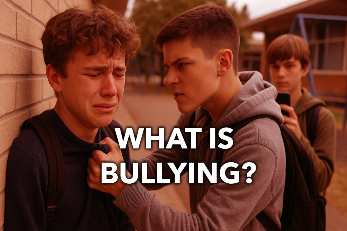 definition of what is bullying.