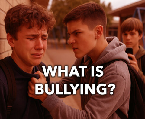 definition of what is bullying.